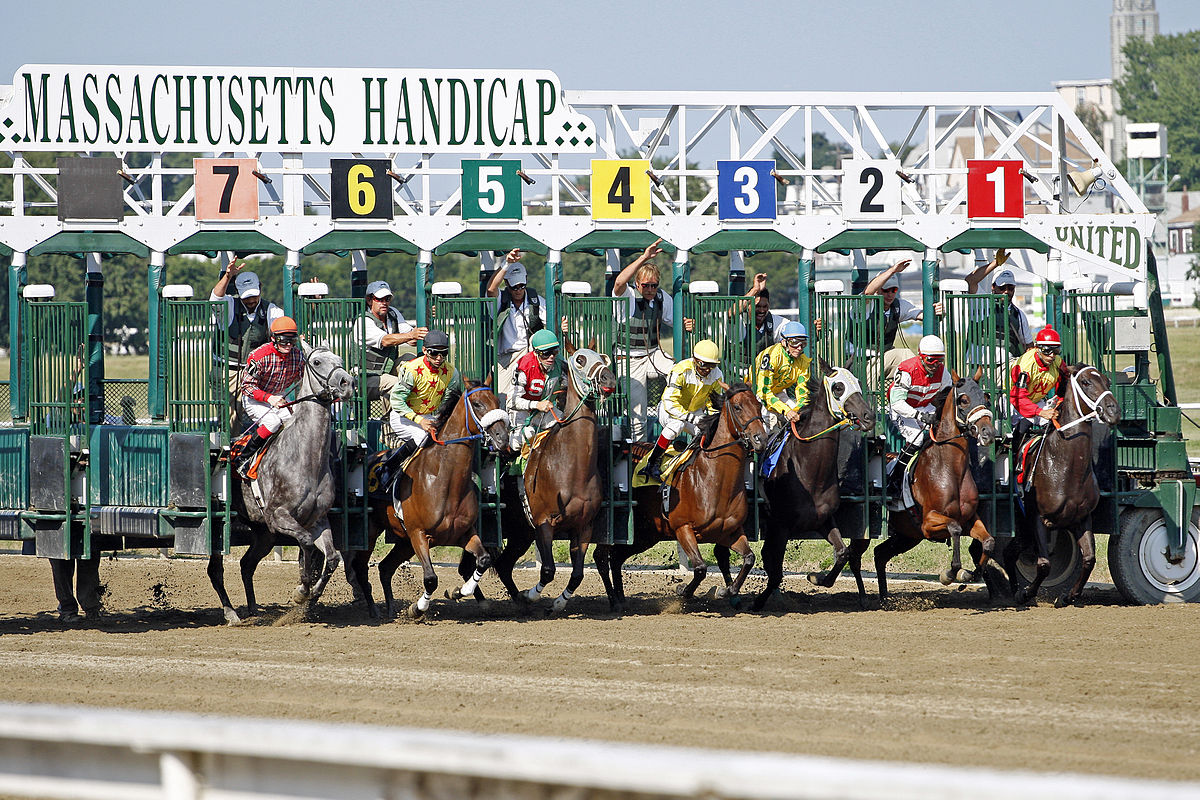 It is possible to strategically bet on horse races ... photo by CC user Anthony92931 on wikimedia commons