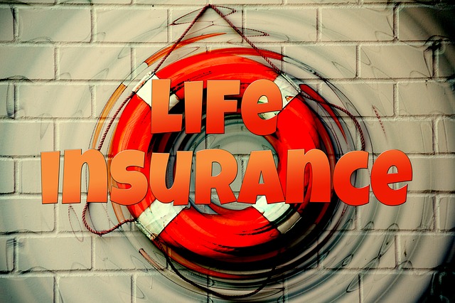 insurance-451288_640