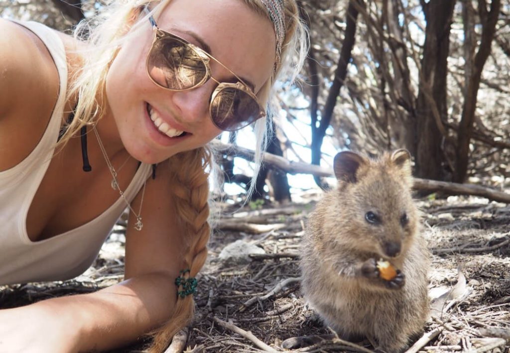 One of the best Things To Do On Your Trip To Australia: get a quokka selfie!